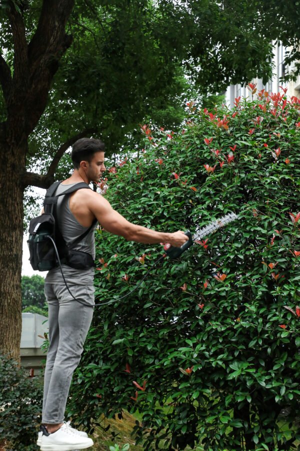 Small hedge trimmers（arch） - 图片 3