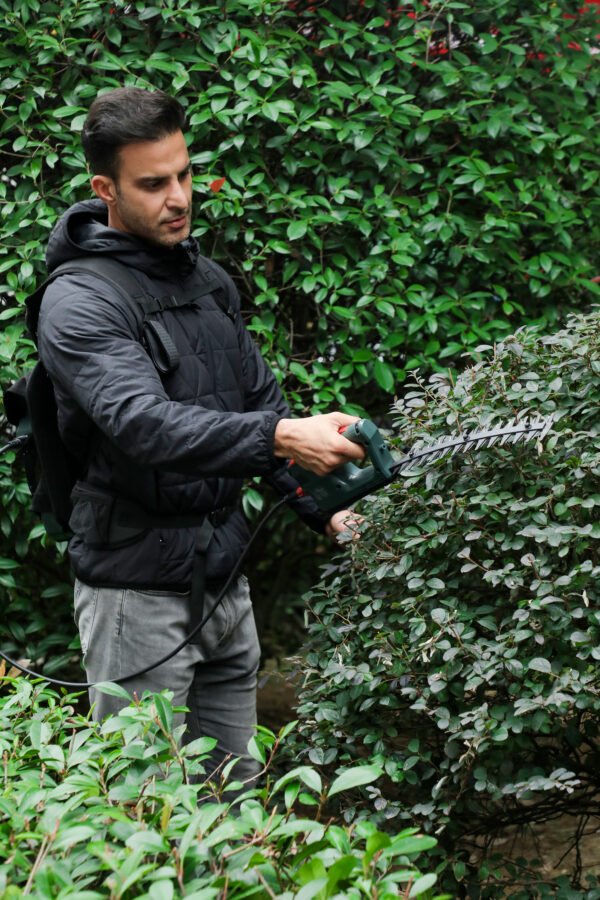 Small hedge trimmers（arch） - 图片 2