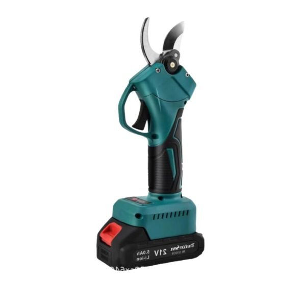 Pruning Shears