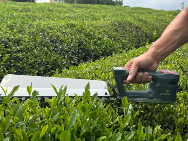 Hedge trimmer - 图片 2