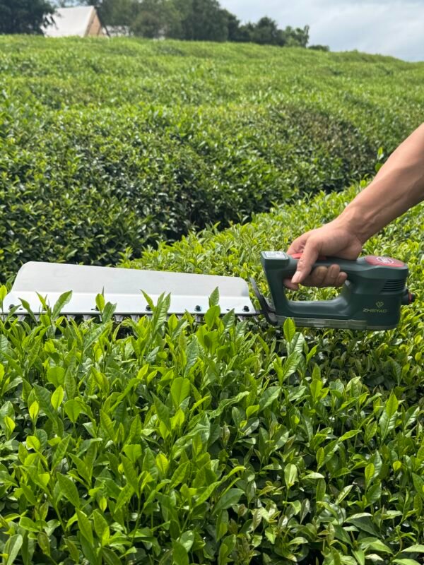 Hedge trimmer