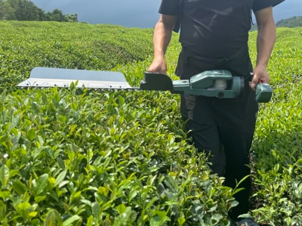Hedge trimmer - B - 图片 5