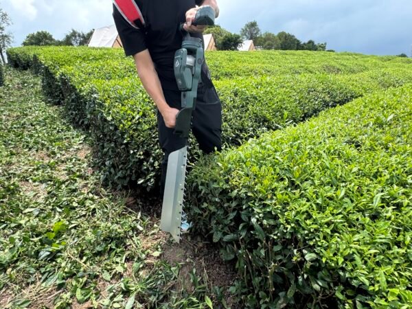 Hedge trimmer - B - 图片 3